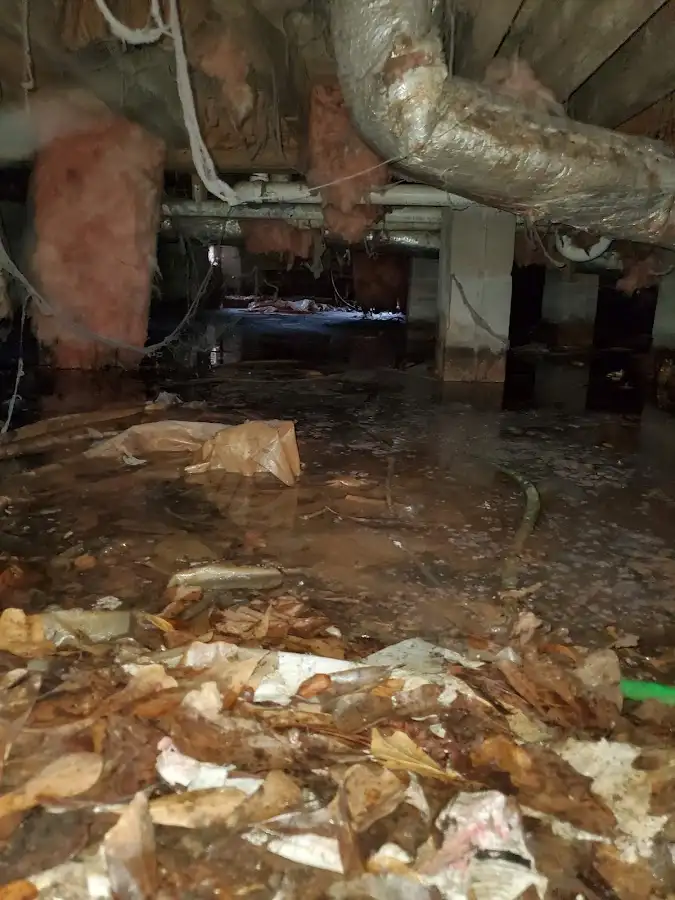Crawl space flood assessment for Leak Detection & Repair in Glassmanor